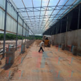 ton lop mai lay sang (13) ton lop mai lay sang (13)