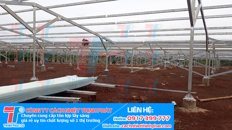 tôn lợp lấy sáng 25