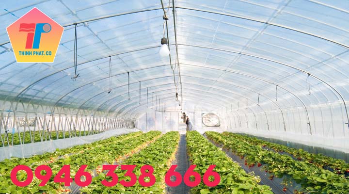 mua tôn lấy sáng mua tôn lấy sáng