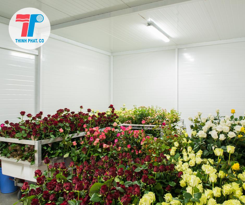 panel eps cách nhiệt kho lạnh panel eps cách nhiệt kho lạnh