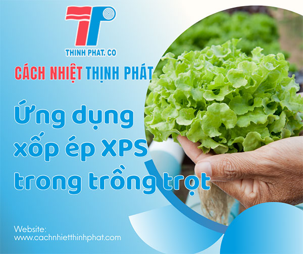 ung dung xop xps trong trong trot0