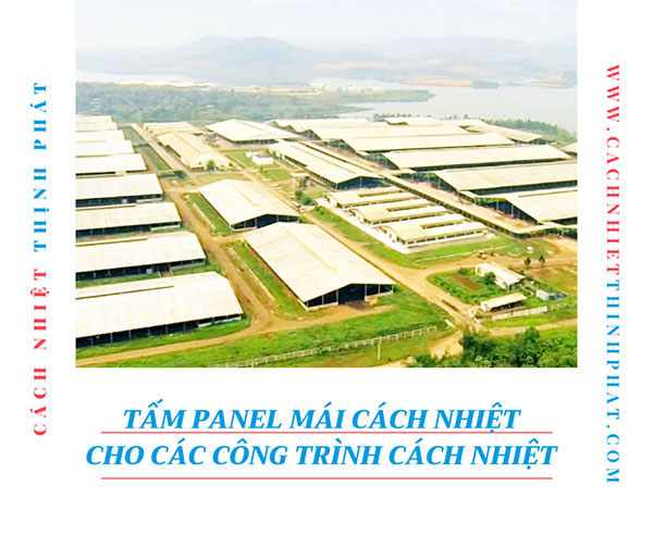 tấm xốp cách nhiệt lợp mái