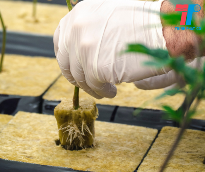 bông khoáng rockwool là gì