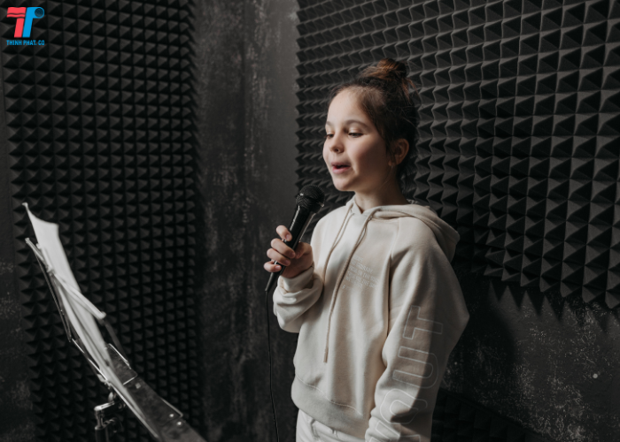 Cách làm tiêu âm phòng nghe nhạc 8