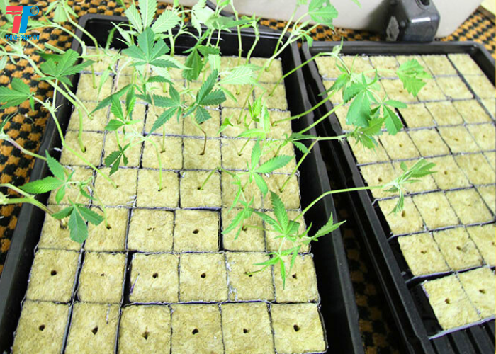 Bông Khoáng Rockwool Tỷ Trọng 40