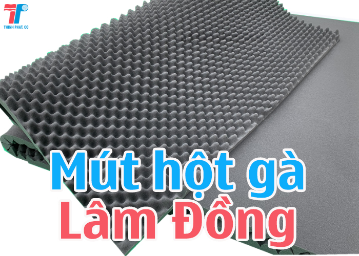 xốp trứng gà tại Lâm Đồng