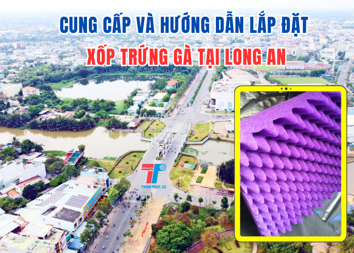 xop trung ga tai long an (9)