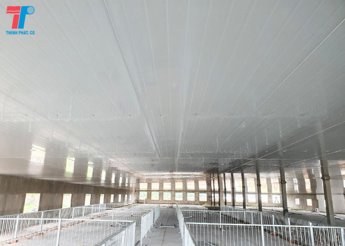 Trần Panel Trang Trại Nuôi Heo Tại Bình Thuận