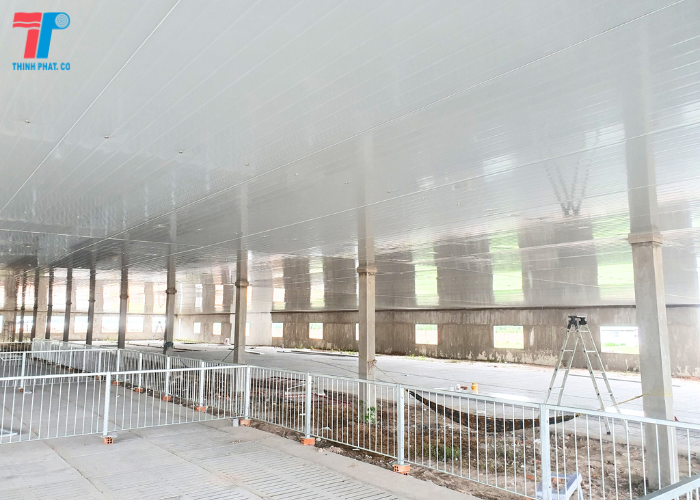 Trần Panel Trang Trại Nuôi Heo Tại Bình Thuận