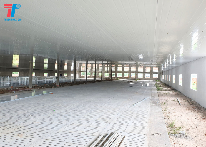 Trần Panel Trang Trại Nuôi Heo Tại Bình Thuận