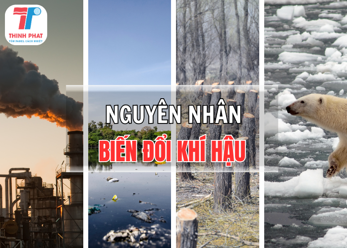 nguyên nhân biến đổi khí hậu ở Việt Nam