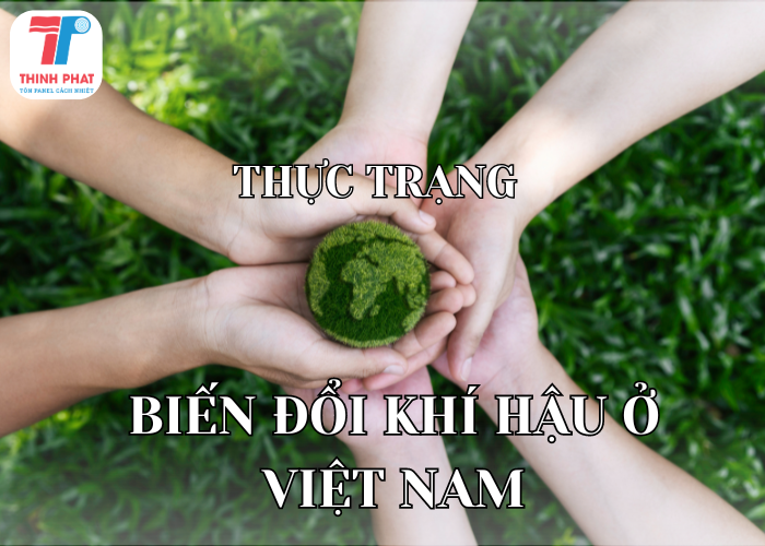 thực trạng biến đổi khí hậu ở Việt Nam