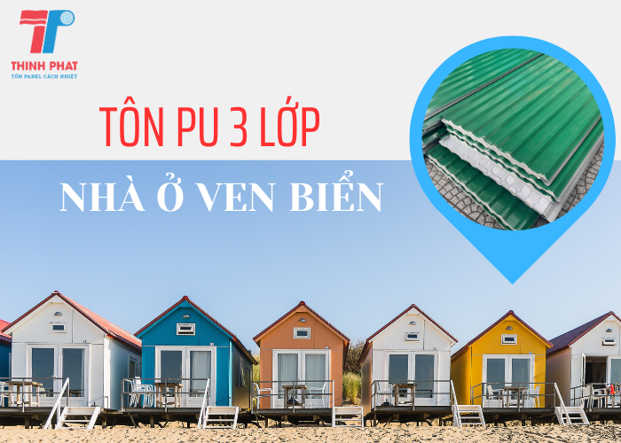 tôn Pu 3 lớp