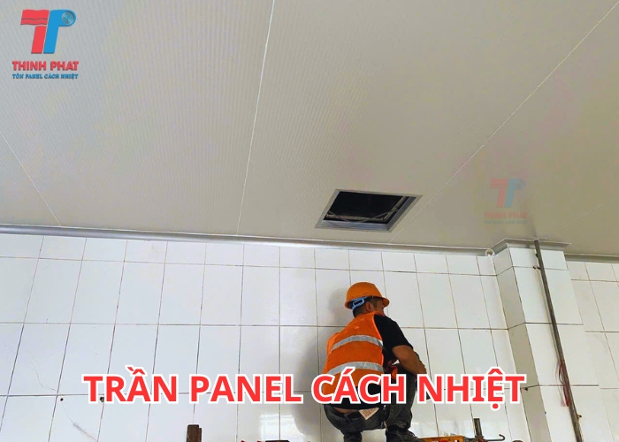 trần bằng panel eps