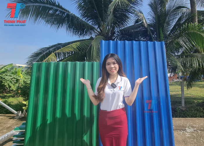 mua tôn PU ở đâu 2