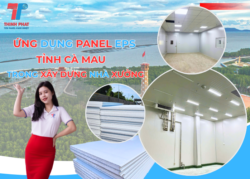 panel EPS tỉnh Cà Mau