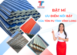tôn PU tỉnh Vĩnh Long