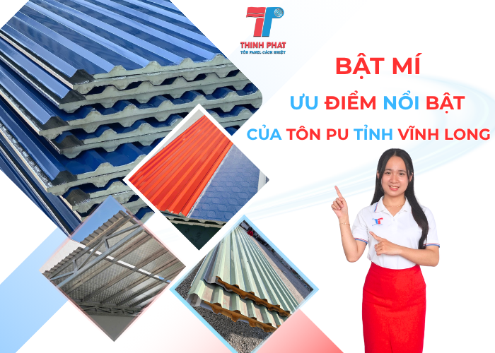 tôn PU tỉnh Vĩnh Long