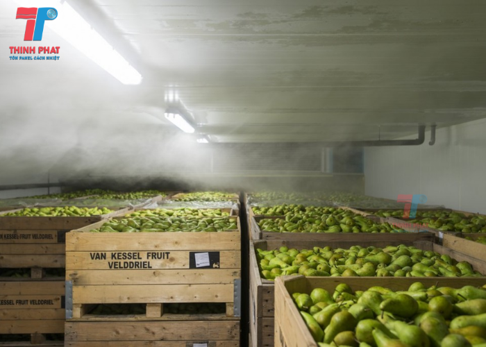 kho lạnh lắp ghép 5