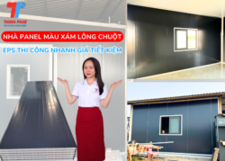 tham quan công trình nhà panel màu xám lông chuột